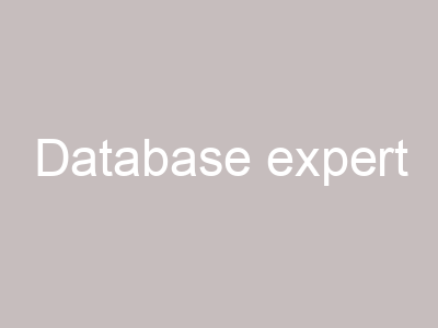 Database expert