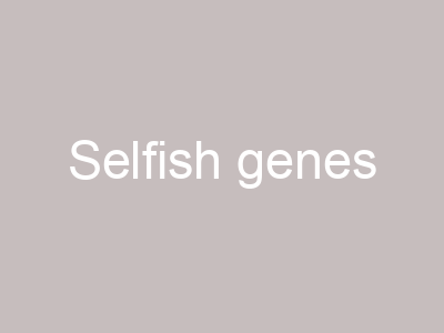 Selfish genes
