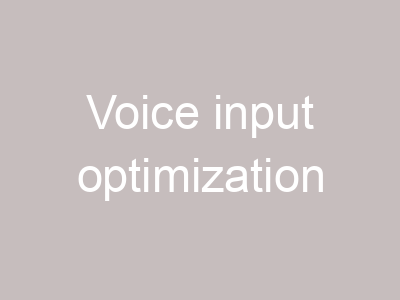 Voice input optimization
