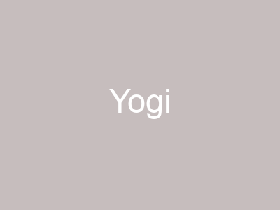 Yogi