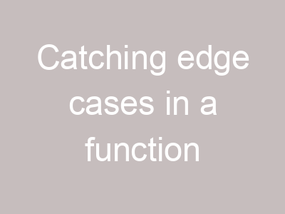 Catching edge cases in a function