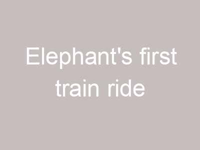 Elephant's first train ride
