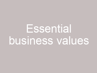 Essential business values