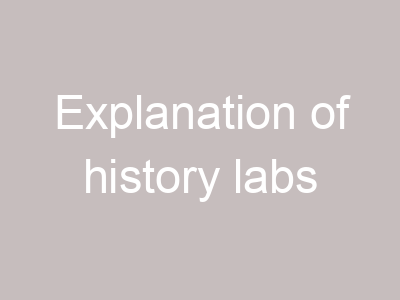 Explanation of history labs