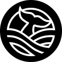 Sibyl AI: Your Metaphysical Copilot and Spiritual Guide