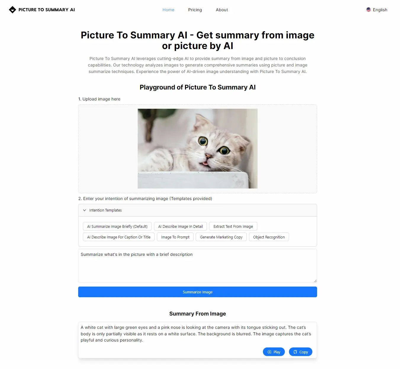 Picture To Summary AI screenshot