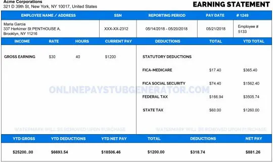 Online Paystub Generator pricing and features