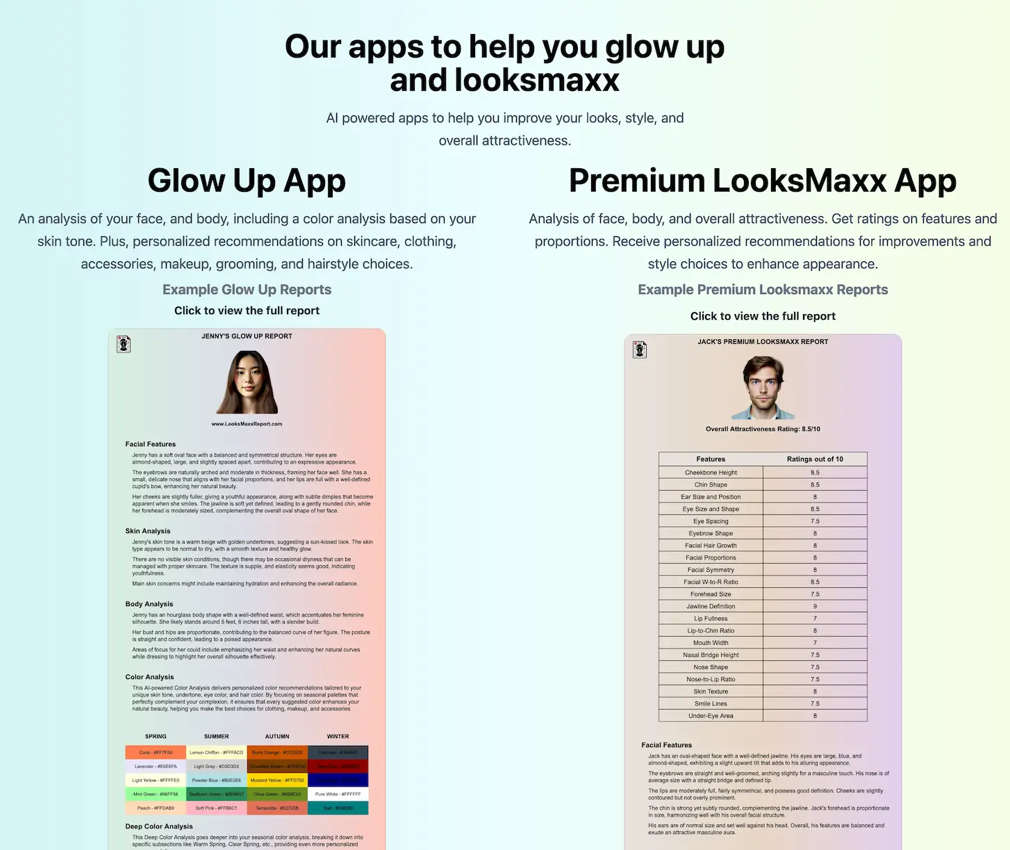LooksMaxx Report pricing and features